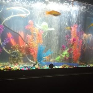 Meet your Posher, Regina